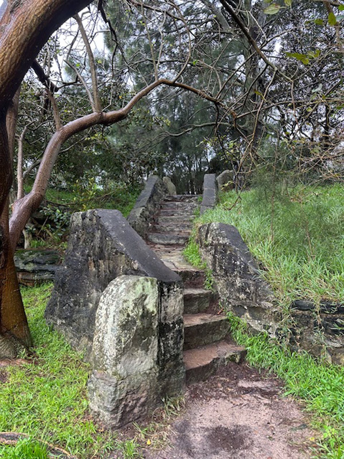 A weathered stone staircase curves and rises through a grassy, bushy urban setting.