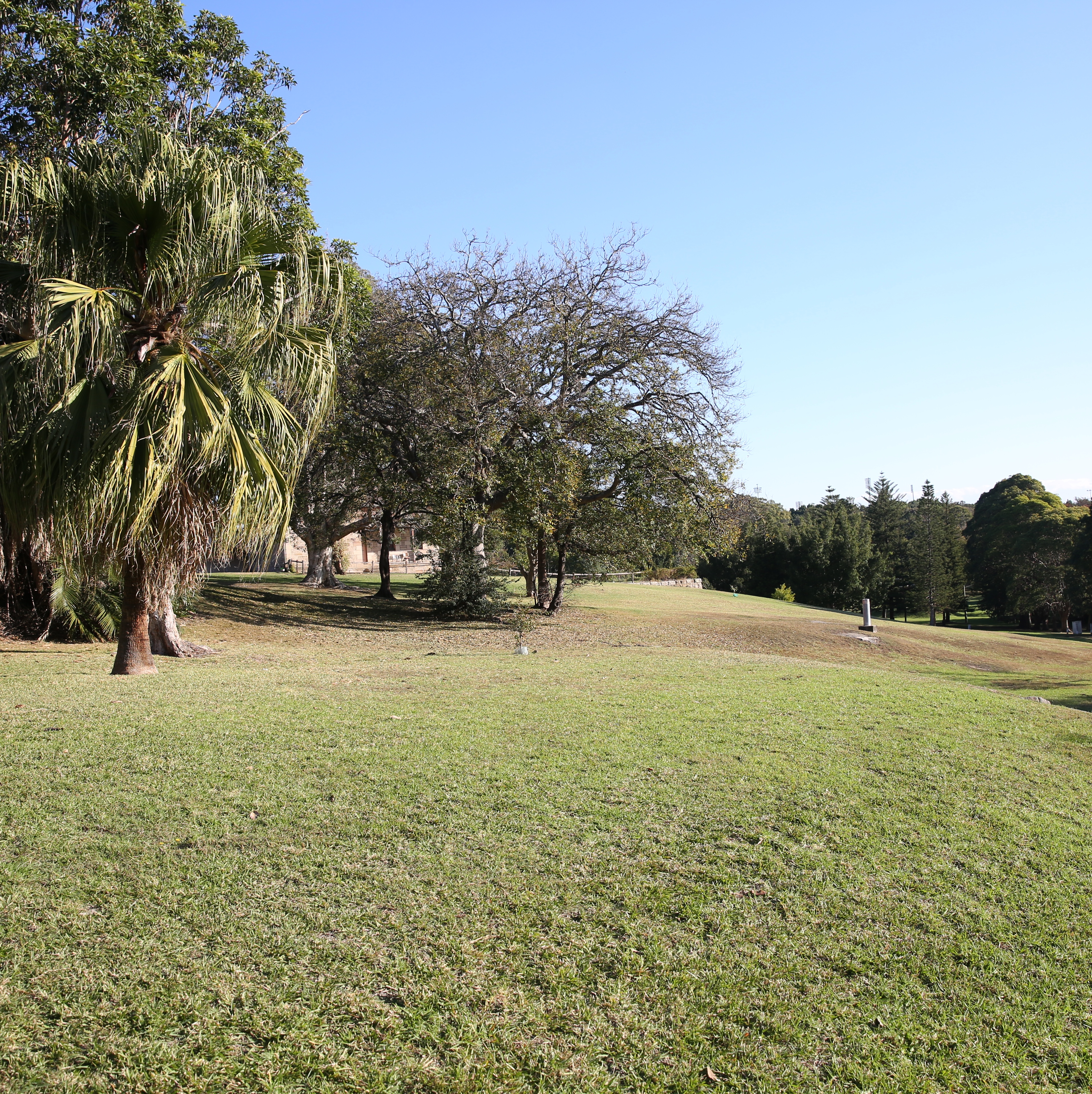 Picture of Callan Park