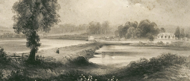 A detailed drawing of a vista of a dam across a body of water. A homestead sits among trees in the background.