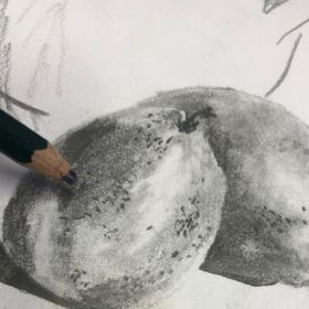 Still life drawing workshop