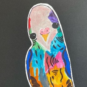 Cut out couloring in of a budgie, the bird is multicoloured and features a close up of the birds, head and upper body,, the head is tilted and the bird has large eyes and a cute look about it