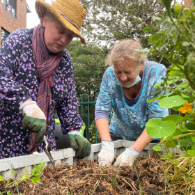 Two women leaning over a garden bed planting greens