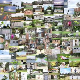 Collage of photos of nature and activities in a park