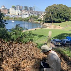 Person weeding in bush with park and Anzac Bridge behind