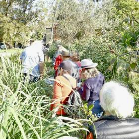 People walking through a garden in a row seen from behind