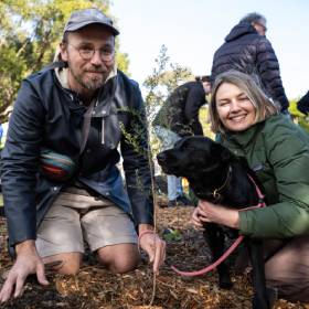 two people kneeling next to planted seedling with black dog