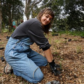 woman planting seedling in bushland