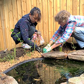 Two women planing bushes in a garden near a pond