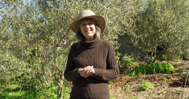 Whites Creek Valley Food Forest with woman