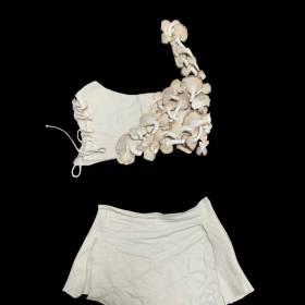 Cream coloured bra and shorts with mushrooms on the bra