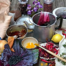 Cooking pots, bowls and jars full of bright pink, orange and purple coloured liquid plus purple cabbage leaves and orange onion skins 