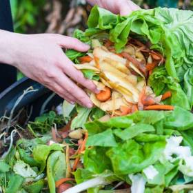 Hand putting food scraps into food recycling bin