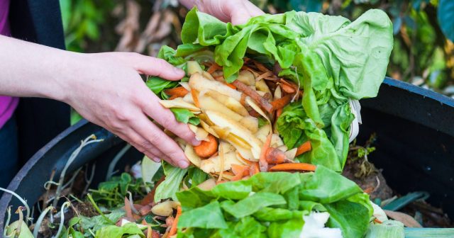 food scraps being placed into compost bin