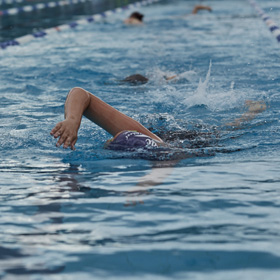 Person wearing swim cap doing laps in a pool