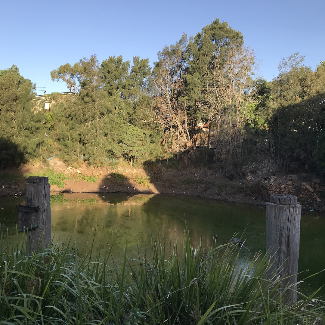 Dibble Avenue Waterhole Bank Stabilisation Works Inner West Council