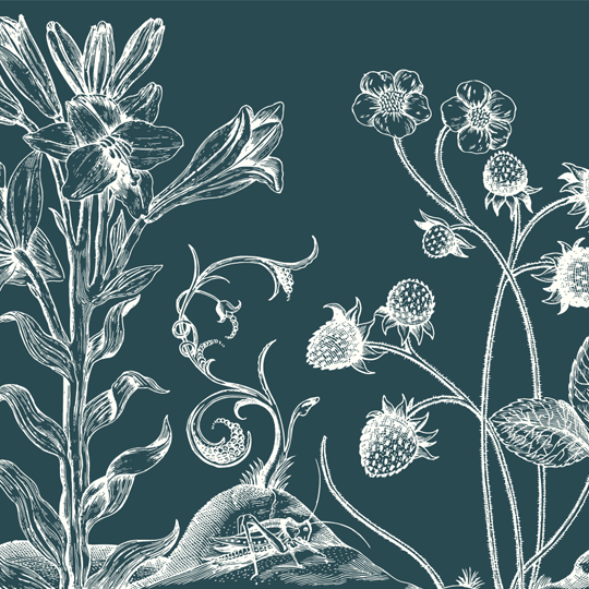 Illustration in white outline against a green background of plants, flowers and thistles