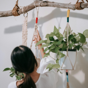 Macrame plant hangers