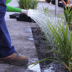 verge grass being waters