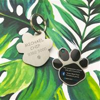 Free pet tag program for residents