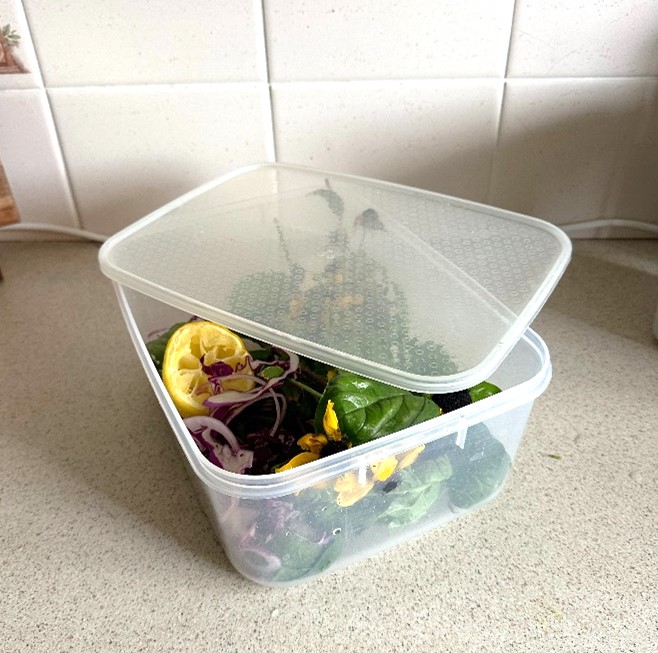 Clear tuuperware container with a lid and vegetable scraps inside