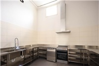 Picture of the dual-basin sink. dishwasher, fume hood and electric over/stovetop.