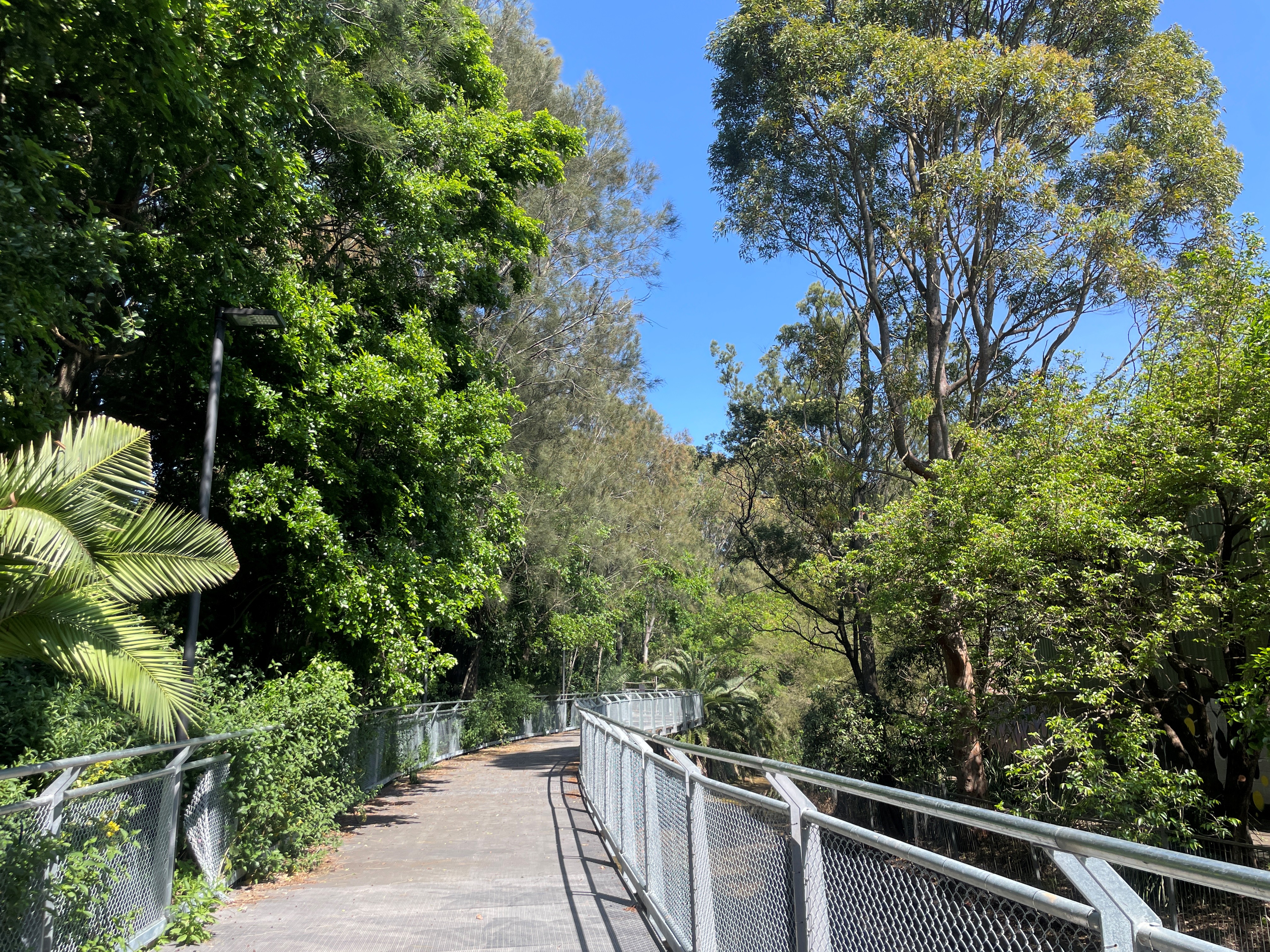 Cadigal 2 raised path - 30 Sep 2025