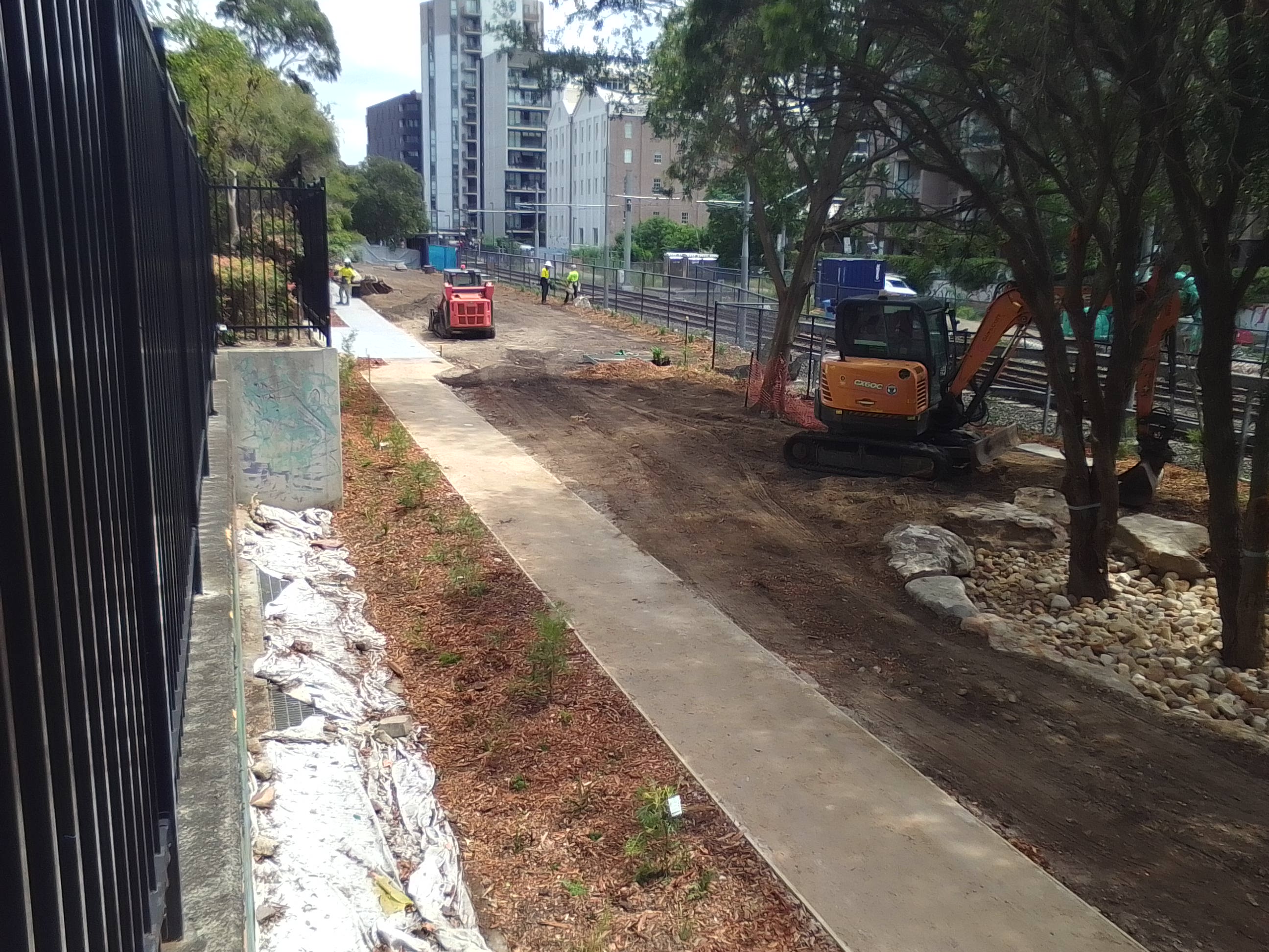 LW dog park progress path 13 11 2024