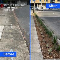 Side by side photos in a square showing a grey concrete footpath on the left and footpath planting on the right. Captions reading 'Before and After' are superimposed over the images