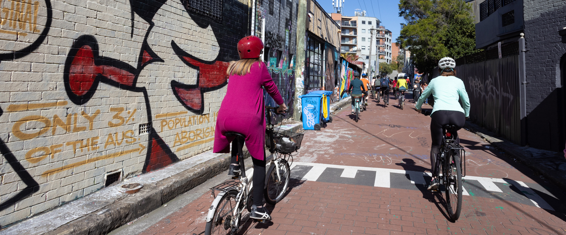 Photo of people riding bikes down a lane (rear view)