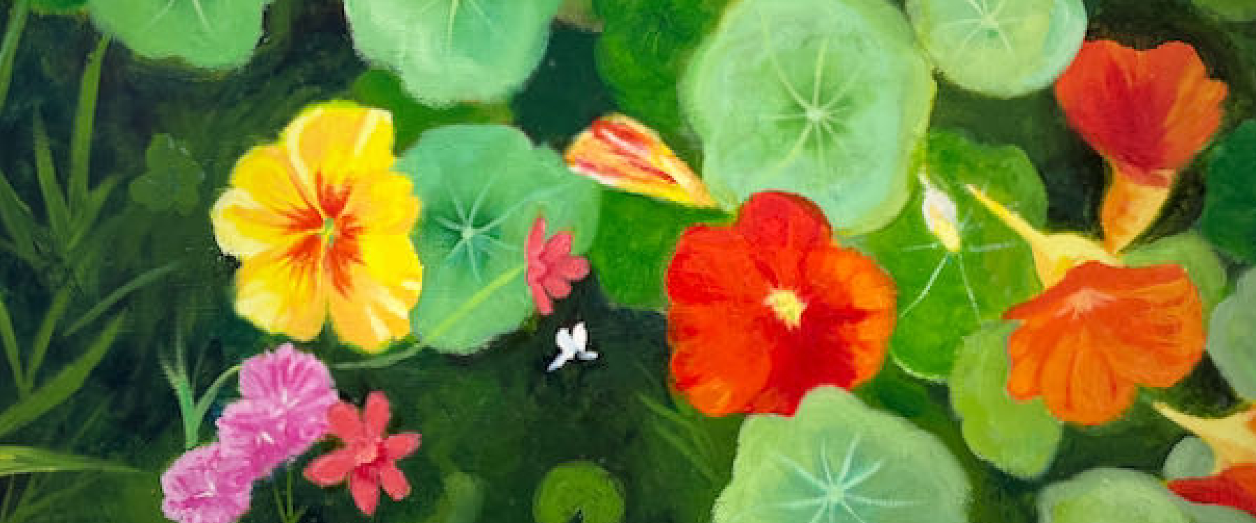 Painting of nasturtium leaves and flowers