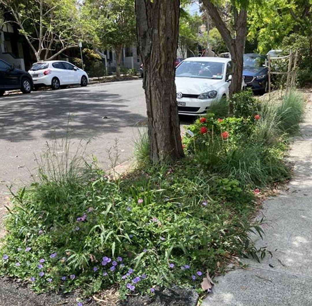 A verge garden surrounding two trees.